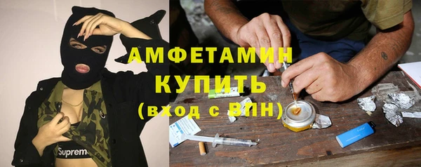 гашик Алексеевка