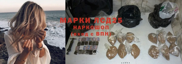 гашик Алексеевка