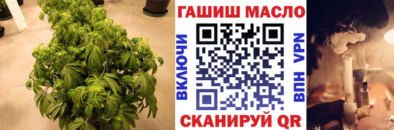ТГК Wax OMG ONION Аша